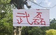 pg模拟器在线进入-2月海港就要打亚冠比赛 大概率武磊+莱昂纳多 这些一哥上不了